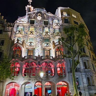 Barcelona Fietstour Op Maat Casa Battlo