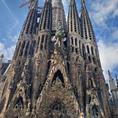 Barcelona Nederlandse Gids Sagrada Familia Tour